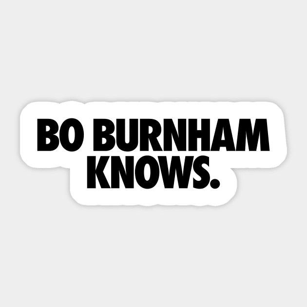 Bo Burnham Knows v2 Sticker by JJFDesigns